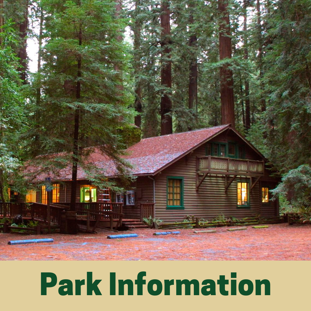 Park Information